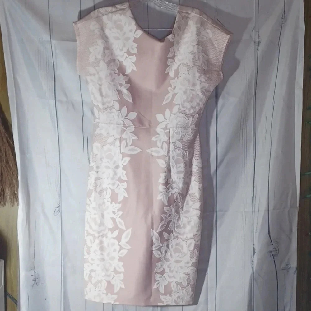 Enfocus Studio Pink and White Lace Sheath dress